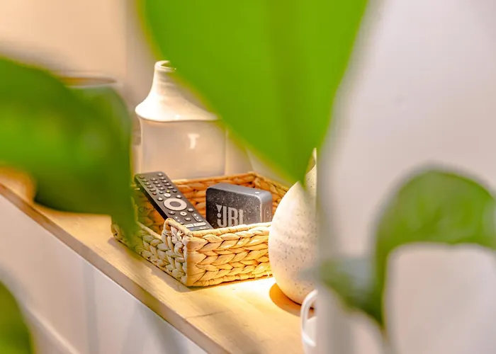 Newly Renovated Gem, Old Apartmán *